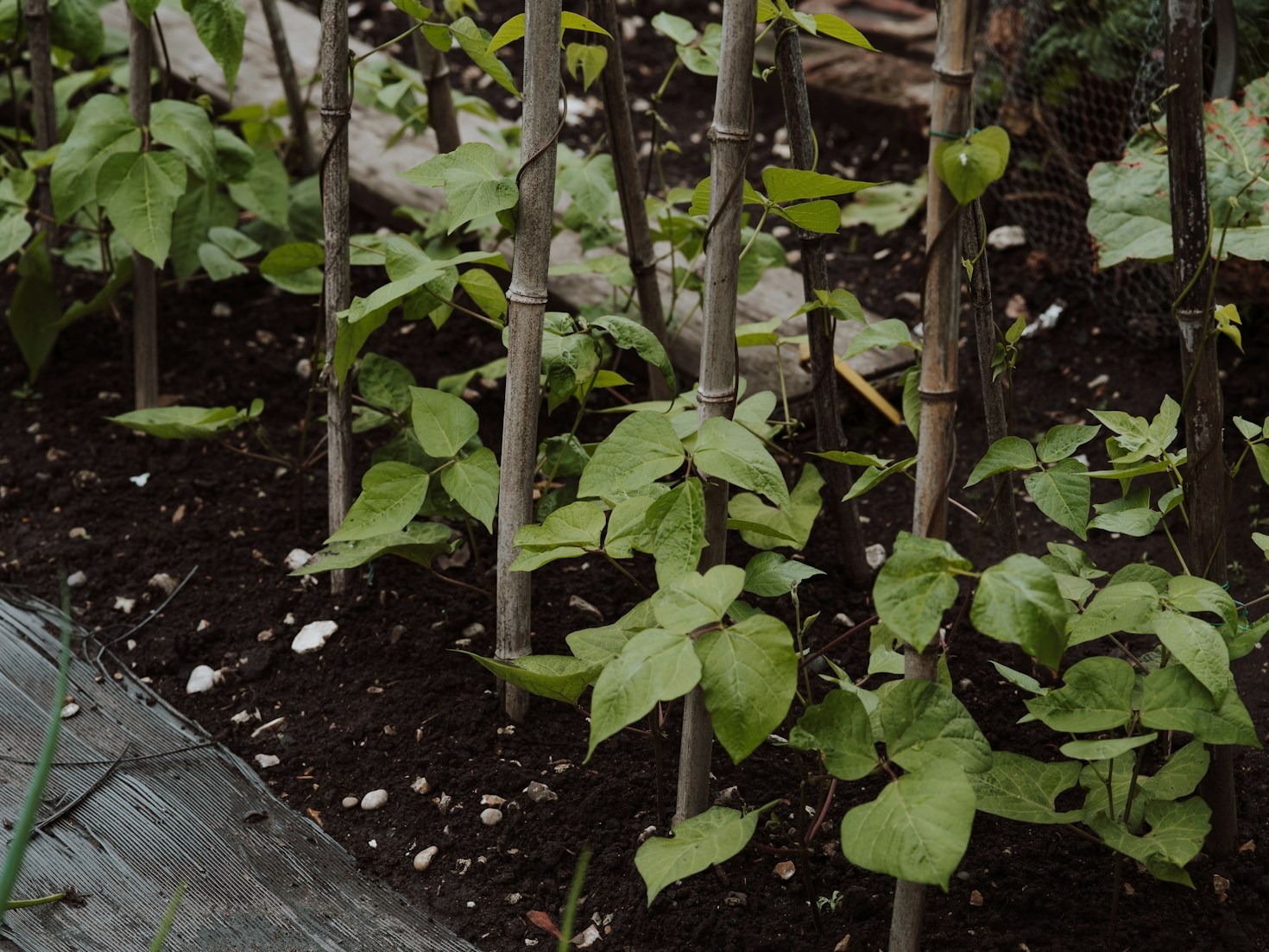 Les pièges à éviter dans le chemin vers l&rsquo;autonomie